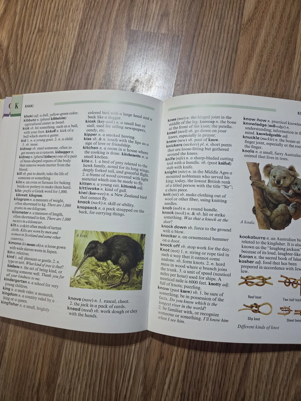 The Children’s Dictionary - Yellow Kids Book